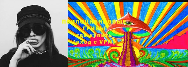 прущие грибы Армянск