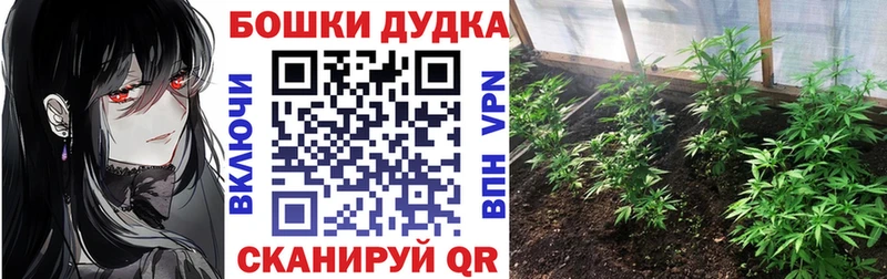 Канабис сатива  Коломна 